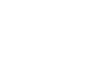 Avada Car Dealer Logo